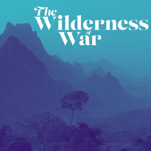 The Wilderness of War