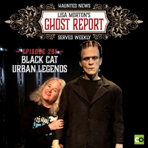 Black Cat Urban Legends