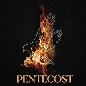 June 5, 2022 - PENTECOST - Out of the Nest