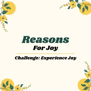 Experience Joy