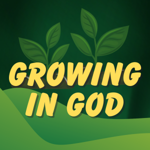 Growing in God (Part 4) - Fellowship