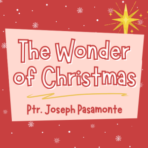 The Wonder of Christmas