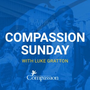 Compassion Sunday | November 2024