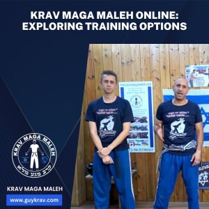 KRAV MAGA MALEH ONLINE: EXPLORING TRAINING OPTIONS