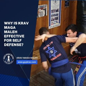 Why Is Krav Magah Maleh Effective for Self Defense