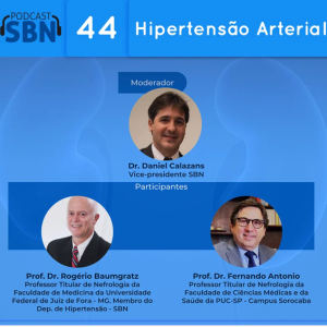 Hipertensão Arterial e os Rins (SBN #44)