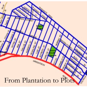 From Plantation To Plots
