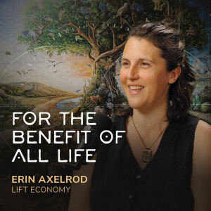 Impact Consulting in the Next Economy - Erin Axelrod (LIFT Economy)