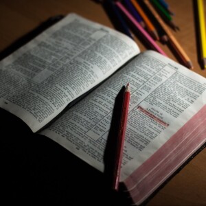 Episode 74: How were the Books of the Bible selected?