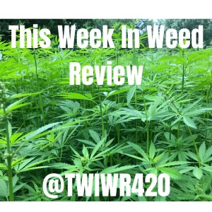 Stoner Jesus Presents: This Week in Weed Review #5