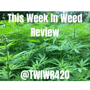 Stoner Jesus Presents: This Week in Weed Review #1