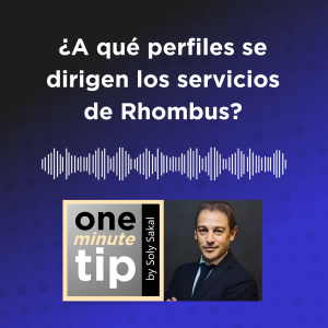 ¿A qué perfiles o empresas se dirige Rhombus?