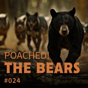 Episode 24: Poached! The Bears.