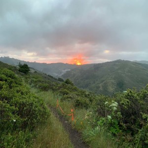 ATF-13 Miwok 100k May 7, 2022 with Andrew Melton and Jon Bretan