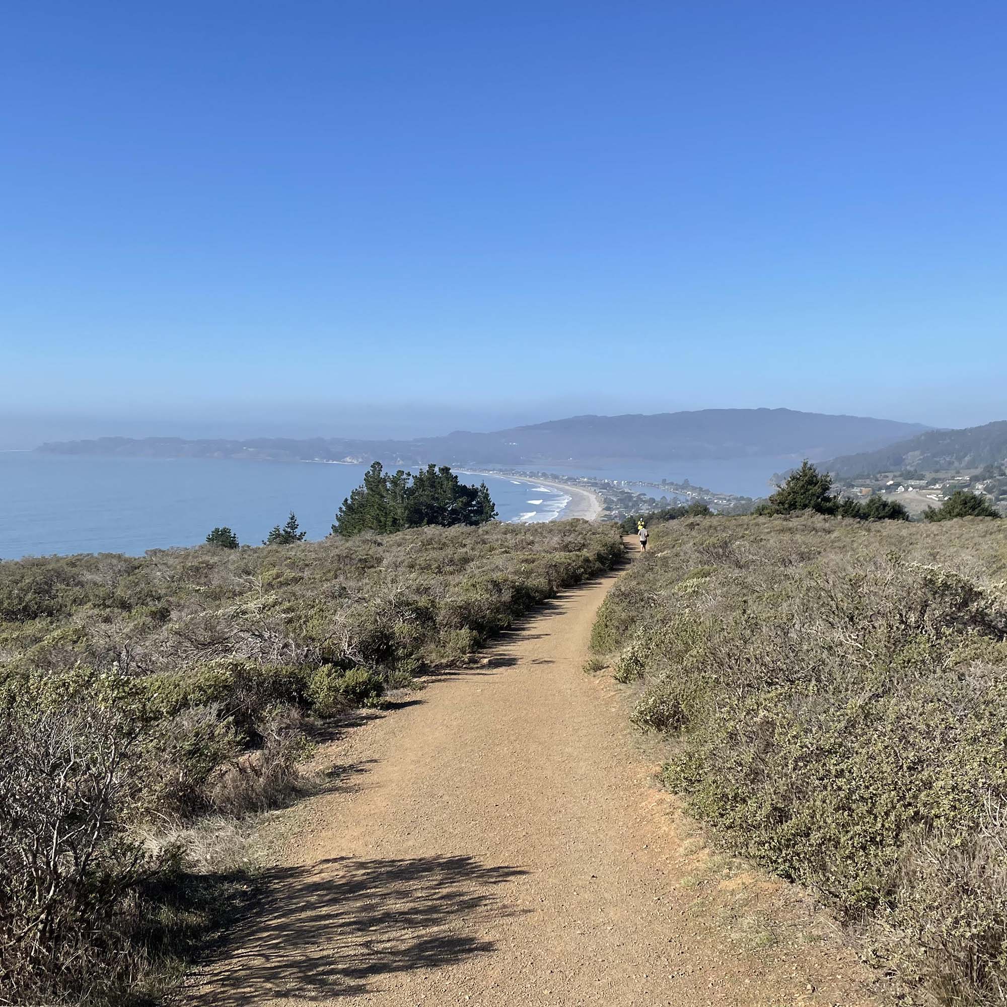 Above The Fog