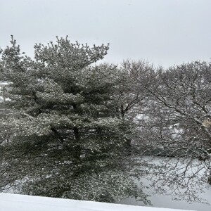 Middletown Rd 2