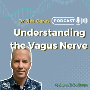 Episode 32: Understanding the Vagus Nerve