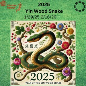 Episode 32 - 2025 Yin Wood Snake Energy Preview