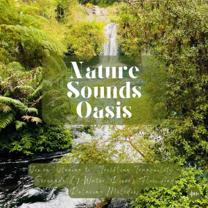 Trickling Tranquility | Flowing River Sounds & Relaxing Music In An Exquisite Forest | Nature Sounds Oasis, Waterfall, Forest Soundscape, Sleep Music,...