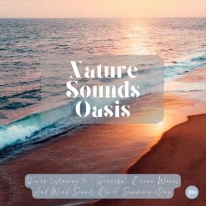 Peaceful Ocean Waves And Wind Sounds On A Beach Day For Sleep, Meditation, Stress-Relief, Relaxation Or Focus - Waves Crashing - Nature Sounds For Sle...