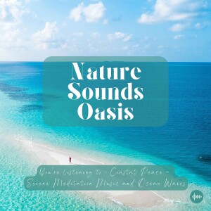 1 Hour Of Meditation Music & Gentle Ocean Waves For The Ultimate Relaxation Experience | Nature Sounds For Sleep, Meditation, Relaxation Or Focus | Sl...