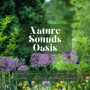 Peaceful Morning Birds Singing & Chirping In A Vibrant Garden | Nature Sounds For Sleep, Meditation, Relaxation Or Focus | Sleep Sounds, Morning Medit...