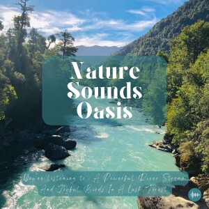 A Powerful River Flowing, Relaxing Water Sounds & Birds Singing In A Lush Forest | Relaxing Nature Sounds For Sleep, Meditation, Relaxation Or Focus |...