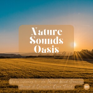 A Wonderful Wind And Blissful Breeze Traveling Through A Peaceful Open Field - Nature Sounds For Sleep, Meditation, Relaxation Or Focus - Sleep Sounds...