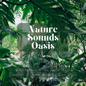 Peaceful Forest Soundscape, Birds Singing & River Sounds In An Exquisite Forest | Nature Sounds For Sleep, Meditation, Relaxation Or Focus | Sleep Sou...