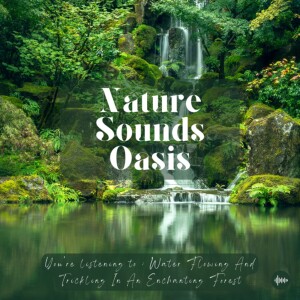 1  Hour Of Relaxing Water Sounds And River Flowing In The Forest For Deep Sleep, Meditation, Mindfulness, Focus Or Relaxation - Water Trickling, Water...