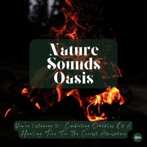 The Most Relaxing Fire Burning Crackling Sounds & Singing Crickets On A Cozy Night | Nature Sounds For Sleep, Meditation, Relaxation Or Focus - Sleep ...