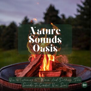 1 Hour Of Relaxing Fire Sounds And Campfire By The Beach Sounds For Sleep, Meditation, Relaxation Or Focus - Stress Relief Sounds, Sleep Sounds, Natur...