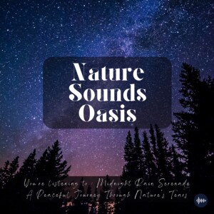 2 Magical Hours Of Relaxing Midnight Rain Sounds And A Peaceful Wind Serenade | Nature Sounds For Sleep, Meditation, Focus Or Relaxation - Raindrop, S...