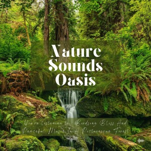Soothing Birds Singing, Gentle River Sounds & Relaxing Music For Sleep, Meditation, Relaxation Or Focus | Nature Sounds, Sleeping Sounds, Birdsong, Mu...