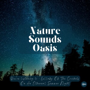 45 Minutes Of Dreamy Crickets, Singing Owls & Soft Nature Sounds On A Peaceful Summer Night For Sleep, Meditation, Relaxation Or Focus - Nature Sounds...