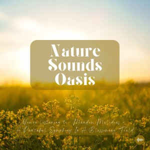 Relaxing Music, Gentle Piano Notes & Peaceful Birds Singing In A Blossoming Field | Nature Sounds For Sleep, Meditation, Relaxation Or Focus | Sleepin...