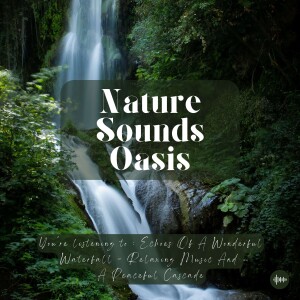 Echoes Of A Wonderful Waterfall & Relaxing Music For Sleep, Meditation, Relaxation Or Focus | Nature Sounds, Sleep Music, Sleep Sounds, Study Music, Zen, Forest Soundscape, Musique Pour Dormir