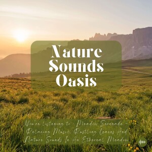 Meadow Serenade With Relaxing Music, Rustling Leaves & Nature Sounds For Sleep, Meditation, Relaxation Or Focus | Piano, Sleep Music, Sleep Sounds, Study Music, Birds, Zen, White Noise For Sleep