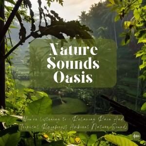 Relaxing Rain & Tropical Rainforest Ambient Nature Sounds For Sleep, Meditation, Relaxation, Stress-Relief Or Focus | Sleep Sounds, Sleep Music, Study Music, Singing Birds, White Noise For Sleep