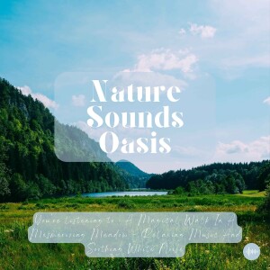 1 Hour Of Relaxing Music, Wind Sounds & White Noise In A Mesmerizing Meadow | Nature Sounds For Deep Relaxation, Sleep, Meditation Or Focus | Alpha Bi...