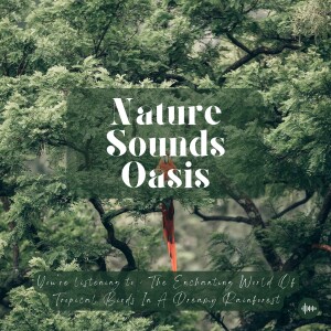 30 Enchanting Minutes Of Relaxing Tropical Birds Singing & Chirping In A Dreamy Forest | Nature Sounds For Sleep, Meditation, Relaxation, Stress Relie...