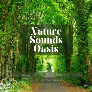 Relaxing Wind In Trees, Rustling Leaves & Nature Sounds In A Majestic Forest | White Noise For Sleep, Meditation, Relaxation, Stress, Anxiety, Insomni...