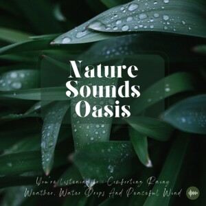 Calming Rain Sounds, Wind And Rain Drops For Deep Sleep, Relaxation, Meditation Or Focus - Relaxing Sound Of Rain, Water Drops, Rainy Weather, Forest,...