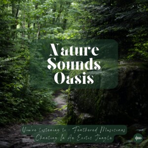 45 Magical Minutes Of Cheerful Birds Singing In An Enchanting Jungle Filled With Nature Sounds For Sleep, Meditation, Focus Or Relaxation - Sleep Soun...