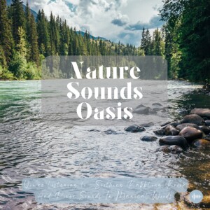 Serene Water Sounds, Trickling River Sounds, River Symphony And Babbling Brook For Sleep, Meditation, Stress-Relief, Relaxation Or Focus - Relaxing Na...
