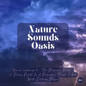 A Musical Storm | Relaxing Rain Sounds, Wind & Peaceful Music For Sleep, Meditation, Relaxation Or Focus | Nature Sounds Oasis, Sleep Sounds, Sleep Mu...