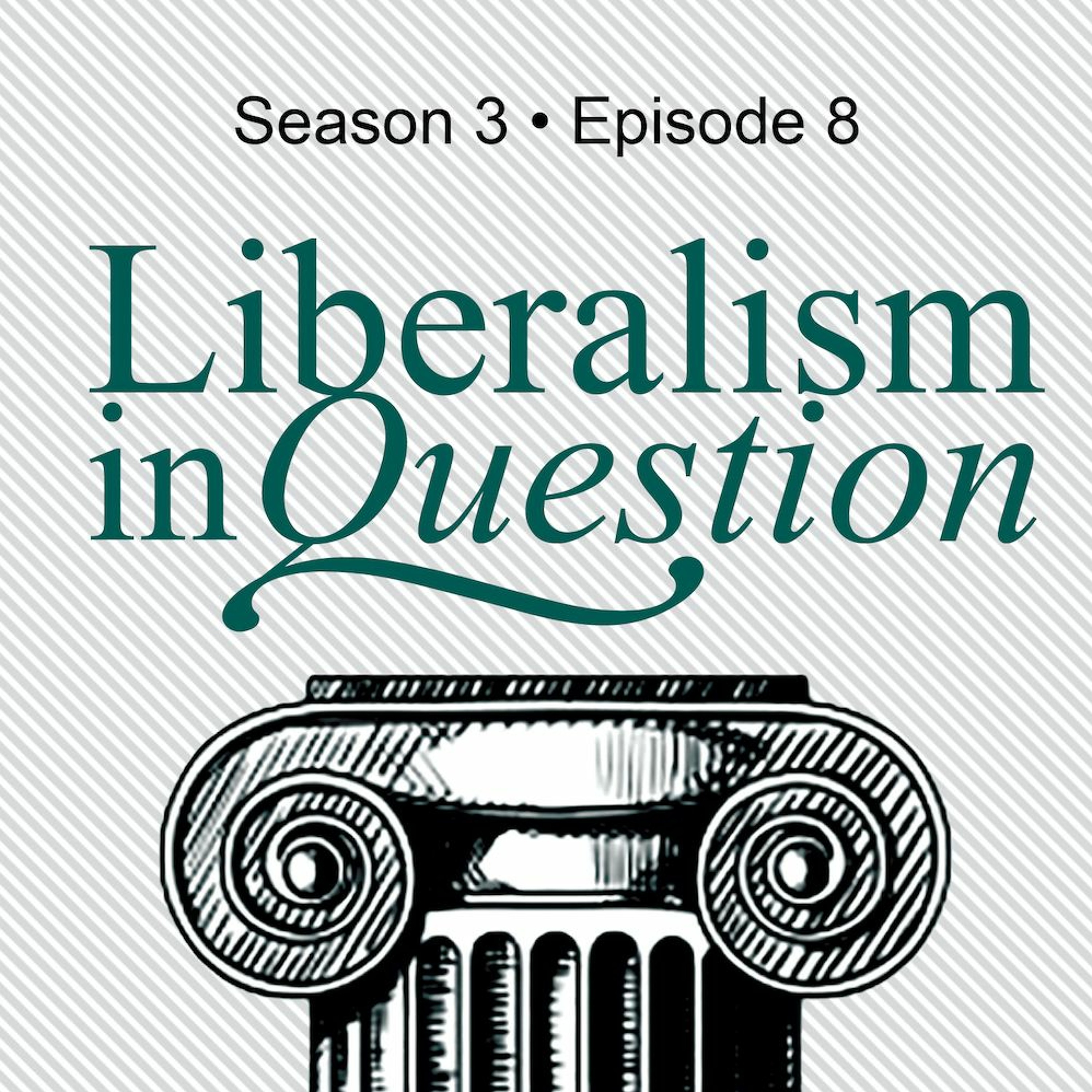 cover of episode S3E8 | Roslyn Fuller ’That’s not democracy, this is democracy!’