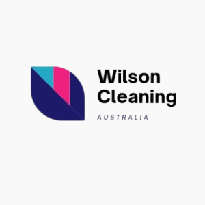 Hiring Expert Cleaners To Transform Your Home Space: A Smart or Costly Decision?