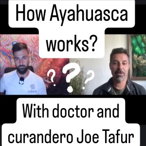 How does Ayahuasca work? Explained by medical doctor and curandero Joe Tafur.