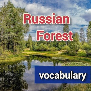 The Russian forest vocabulary + interesting facts